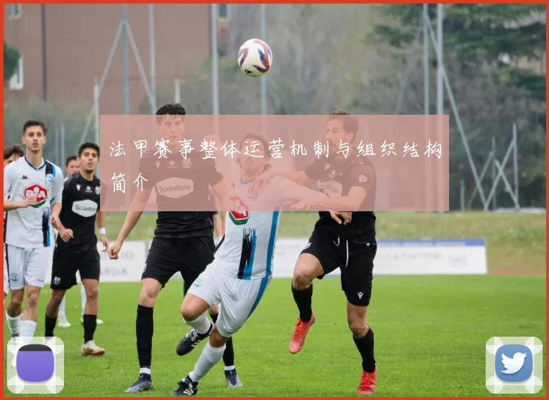 法甲赛事整体运营机制与组织结构简介