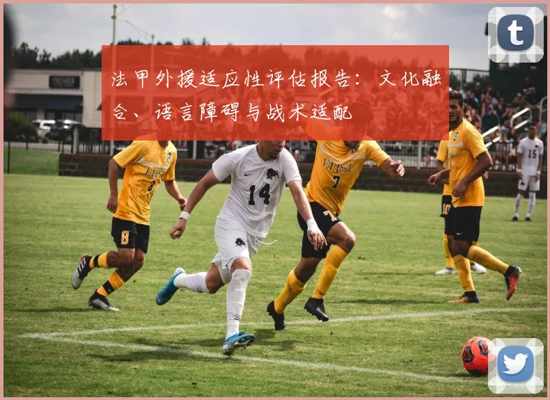 法甲外援适应性评估报告：文化融合、语言障碍与战术适配