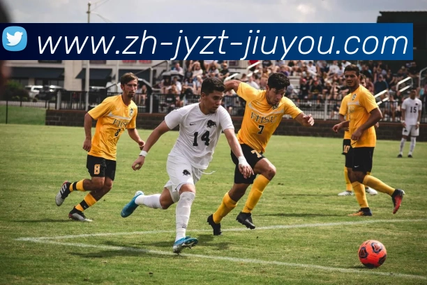 数据防护可视化